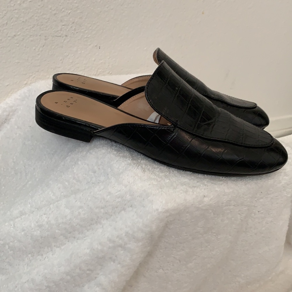 A New Day black slides - Picture 2 of 12